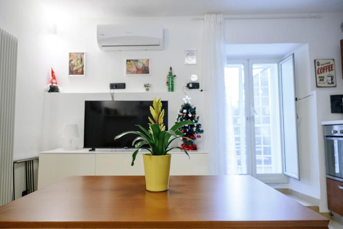 Zizi House