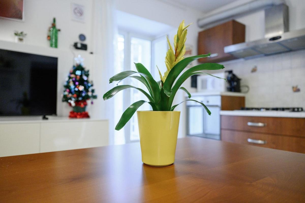 Zizi House Apartment Rom